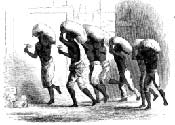 Sklaven auf Hispaniola